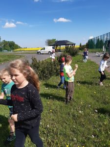 Uczniowie rozproszeni na wąskim pasie zieleni pomiędzy dwoma chodnikami zbierają dmuchawce.