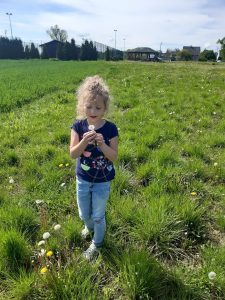 Uczennica stoi na łące. W dłoniach trzyma dmuchawca, któremu się z uwagą przygląda.