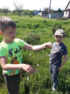 Dwóch chłopców zbiera dmuchawce. Stoją na trawie. W tle widoczny jest dom jednorodzinny.