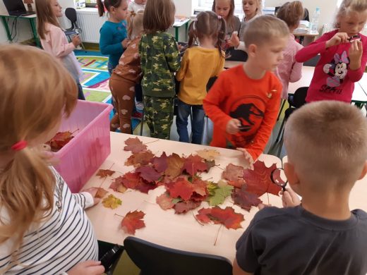 Uczniowie z odziału przedszkolnego oglądają pod lupami różne przedmioty. Na pierwszym planie widzimy stolik na którym rozsypane są jesienne liście.
