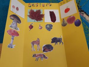 Zdjęcie wykonanego przez ucznia lapbooka. Na rożłonej żóltej kartce papieru podzielonej na trzy części umieszczon napisy JESIEŃ i Sad a pod nimi wklejono kolorowe obbrazki przedstawiające rośliny i zwierzęta.