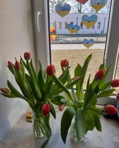 Zdjęcie czerwonych tulipanów stojących w dwóch słoikach na parapecie okna.
