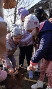 Dzieci stoją w okół młodej kozy. Jedna z uczennic karmi ją butelką a pozostali uczniowie sie przygladają i głaszczą zwierzę.