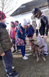 Uczniowie stoją na trawniku. Jedna z dziewczynek karmi młodą kozę z butelki. Pozostałe dzieci przyglądają sie tej czynności.