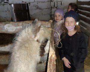 Dwie uczennice stoją obok siebie przy zagrodzie z alpakiem, którego głowę widać na zdjęciu.