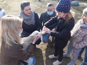Pani trzyma malą owieczkę na rękach. Dziewczynka stojąca naprzeciwko karmi zwierątko z butelki. Obok kuca dwóch dorosłych a za dziewczynką stoi jej koleżanka i czeka na swoją kolej karmienia.