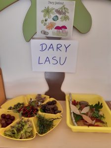 Zdjęcie dekoracji. Na tle białej ściany umieszczono wyciety z deski i odpowiednio pokolorowany fragment drzewa z przyczepioną kartkąznapisem "DARY LASU". Nad nią wisi kartka z obrazkami przedstawiającymi elementy runa lesnego a pod spodem na stoliku stoja dwie żółte kuwety z zebranymi w lesie elemtami runa leśnego.