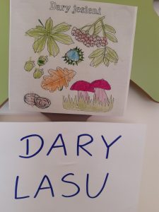 Zdjęcie pomocy naukowej szkoły leśnej na barbarce. Na bialej kartce napis DARY LASU, a nad nim pokolorowana grafika przedstawiająca dary jesieni.