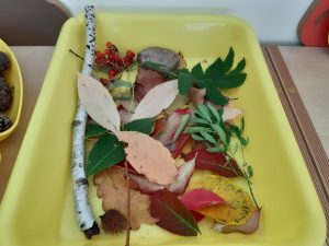 Zdjęcie żółtej kuwety wypełnionej kolorowymi liśćmi i gałązkami.