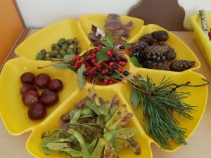 Zdjęcie żółtej kuwety wypełnionej kolorowymi liśćmi, gałązkami, szyszkamii kasztanami.