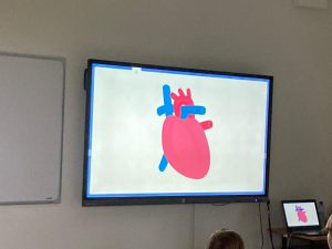 Zdjęcie Ekranu z wyświetloną grafiką serca ludzkiego.