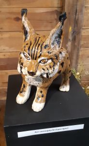 Zdjęcie eksponatu Muzeum Etnograficznego w Toruniu. Na wystawie ryś.