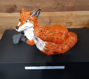 Zdjęcie eksponatu Muzeum Etnograficznego w Toruniu. Na wystawie lis siedzący z zawiniętym ogonem i łapkami założonymi na siebie.