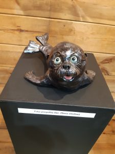 Zdjęcie eksponatu Muzeum Etnograficznego w Toruniu. Na wystawie foka z otwartym pyszczkiem.