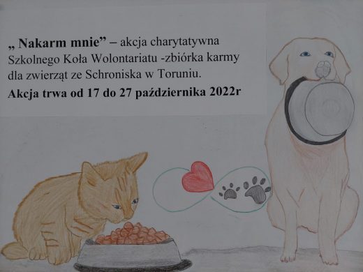 Zdjęcie plakatu narysowanego odręcznie przedstawiającego kota pochylającego się nad miską oraz psa trzymającego w pysku kapelusz. Na plakacie naklejono naklejkę z nadrukowanym tekstem: ":Nakarm mnie" - akcja charytatywna Szkolnego Koła Wolontariatu - zbiórka karmy dla zwierząt za Schroniska w Toruniu. Akcja trwa od 17 do 27 października 2022r".