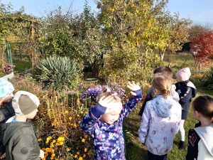 Uczniowie oddziału przedszkolnego stoją wśród drzew i krzewów w pobliżu działek. Dzieci oglądają roślinność. Dziewczynka stojąca przodem do aparatu podnosi wysoko w górę ręce.