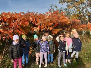 Uczniowie oddziału przedszkolnego pozują do zdjęcia stojąc obok siebie pod niskim drzewkiem z brązowymi listkami. Dzieci przymykając oczy przez świecące słońce.