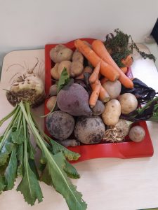 Na tace ustawionej na stoliku leżą warzywa - ziemniaki, marchewki, buraki. Obok ułożono kalarepęz długą zieloną natką.