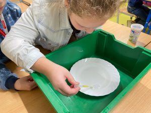 Uczennica z pipetą w dłoni pochyla się nad zilonym pudełkiem, w którym ustawiono biały talerzyk z wodą.