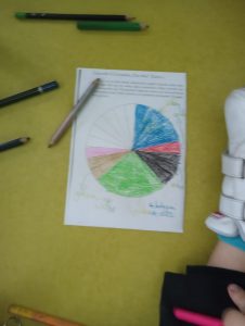 Zdjęcie diagramu kołowego pokolorowanego różnymi kolorami.