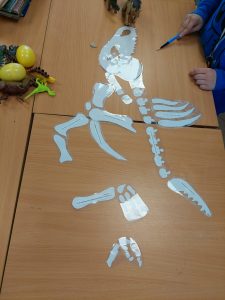 Zdjęcie rozłożonych na stole fragmentów szkieletu dinozaura. Szkielet wycięty jest z białego papieru i zalaminowany.