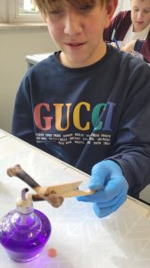 Uczeń klasy siódmej siedzi przy stoliku. Na prawej dłoni ma zalożoną rękawiczkę, w której trzyma klamerkę z kością. Zbliża kość do szklanego pojemniczka z naftą i ją opala przy nim.