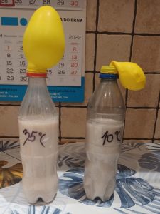 Na stole ustawiono dwie plastikowe butelki częściowo wypełnione białym płynem. Na butelce po lewej stronie odręcznie napisano 35 stopni C a na prawej 10 stopni C. Na obie butelki od góry naciagnięto żółte balony. Balonik na butelce po lewej stronie jest częściowo wypełniony i unosi się do góry, a ten po prawej stronie opada w dół.