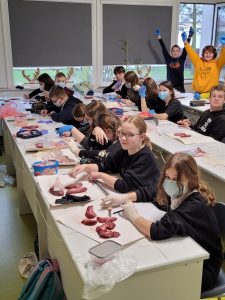 Uczniowie klasy siódmej siedzą przy długich białych stołach w sali lekcyjnej. Przed nimi leżą na biały podkładkach nerki. Uczniowie mają na dłoniach rękawiczki. Z tyłu przy otwartym oknie stoi dwóch chłopców z rękami wyciągniętymi do góry.