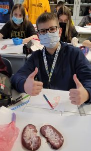 Uczeń klasy siódmej siedzi w maseczce przy stoliku. Chłopiec podnosi w górę kciuki. Przed nim leżą dwie nerki. W tle widać innych uczniów z maseczkami na twarzach.