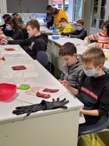 Uczniowie klasy siódmej siedzą przy długich białych stołach w sali lekcyjnej. Przed nimi leżą na biały podkładkach nerki. Uczniowie mają na dłoniach rękawiczki. Z tyłu przy otwartym oknie stoi dwóch chłopców pochylających się nad stołem.