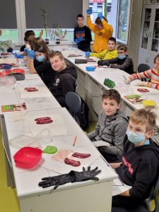 Uczniowie klasy siódmej siedzą przy długich białych stołach w sali lekcyjnej. Przed nimi leżą na biały podkładkach nerki. Uczniowie mają na dłoniach rękawiczki. Z tyłu przy otwartym oknie stoi dwóch chłopców z których jeden podnosi do góry ręce.