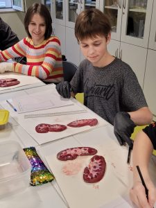 Dwoje uczniów klasy siódmej siedzi przy stoliku. Przed nimi leżą nerki. Chłopiec próbuje chwycić ołówek dłonią w czarnej rękawiczce. Uczennica się mu przygląda i lekko usmiecha.