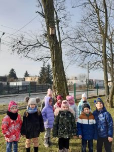 Uczniowie oddziału przedszkolnego ubrani w kurtki stoją w grupce pod drzewem. Na drzewie zawieszony jest karmnik dla ptaków.
