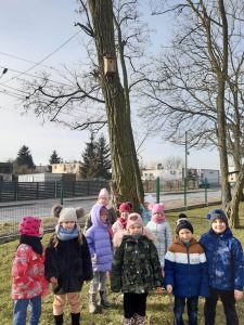 Uczniowie oddziału przedszkolnego ubrani w kurtki stoją w grupce pod drzewem. Na drzewie zawieszony jest karmnik dla ptaków.
