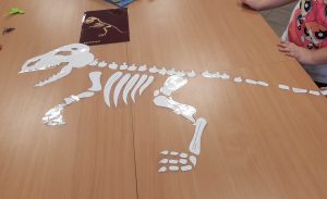 Zdjęcie rozłożonego na płasko na stole, białego szkieletu dinozaura. Szkielet wykonany z zalaminowanego papieru.
