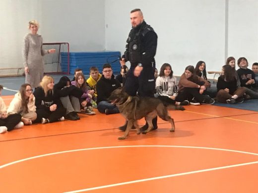 Pies wraz z policjantem prowadzącym go na smyczy przechodzi po sali gimnastycznej. Na podłodze sali siedzą uczniowie oglądający przejście psa.