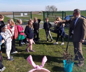 Na trawniku przy szkole stoją uczniowie oddziału przedszkolnego. Przed nimi stoi Pan Leśniczy trzymający w wyciągniętej dłoni drzewko do posadzenia.