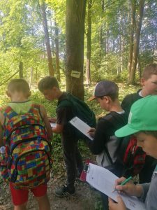 Uczniowie stoją w lesie. Dzieci trzymają przed sobą kartki a w dłoniach długopisy.