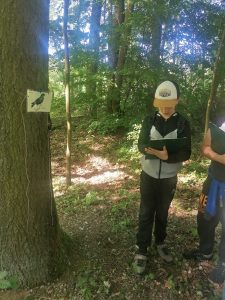 Chłopiec stoi wśród drzew. W dłoniach trzyma podkładkę. Obok niego na drzewie przyczepiona jest kartka z rysunkiem ptaka.