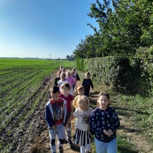 Uczniowie oddziału przedszkolnego idą polną drogą. Po prawej stronie widać żywopłot i rosnące za nim drzewa a po lewej obsiane pole.