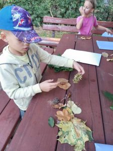 Uczeń siedzi przy drewnianej ławie i przegląda zebrane przez siebie dary jesieni - liście szyszki i żołędzie.