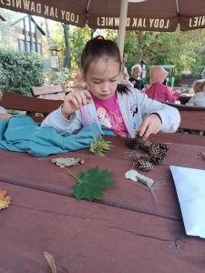 Uczennica siedzi przy dużej drewnianej ławie, na której układa zebrane przez siebie szyszki. Na stole leżą również liście.