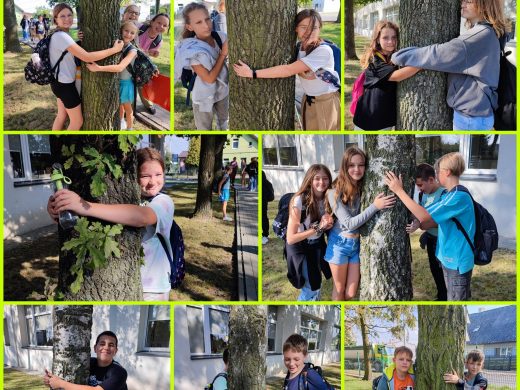 Kolaż ośmiu zdjęć na których uczniowie klasy szóstej pojedynczo lub grupkami przytulają się do drzew.