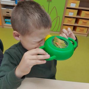 Uczeń trzyma w dłoniach zielone urządzenie, które przykłada do jednego oka. Dzięki urządzeniu widzi w powiększeniu umieszczony w nim liść drzewa.