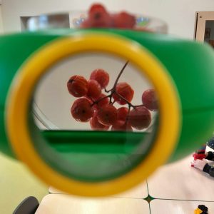 Widok z urządzenia powiększającego używanego przez uczniów. Urządzenie powiększa jarzębinę.