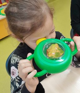 Uczennica trzyma w dłoniach zielone urządzenie, które przykłada do jednego oka. Dzięki urządzeniu widzi w powiększeniu umieszczony w nim liść drzewa.