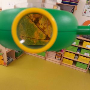 Widok z urządzenia powiększającego używanego przez uczniów. Urządzenie powiększa liść drzewa.