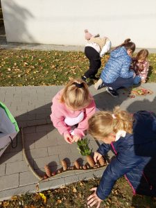 Uczniowie kucają na chodniku przy szkole i w ramkach ułożonych z patyków tworzą przy przy użyciu szyszek i orzechów.