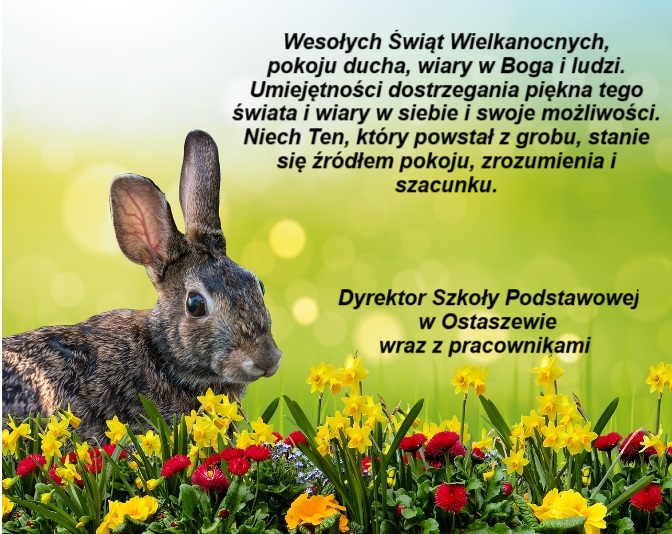 Na jasnozielonym tle zdjęcie króliczka siedzącego wśród żółtych i czerwonych kwiatów. Na zielonym tle napis: "Wesołych Świąt Wielkanocnych, pokoju ducha, wiary w Boga i ludzi. Umiejętności dostrzegania piękna tego świata i wiary w siebie i swoje możliwości. Niech Ten, który powstał z grobu, stanie się źródłem pokoju, zrozumienia i szacunku." Poniżej dopisek "Dyrektor Szkoły Podstawowej w Ostaszewie wraz z pracownikami" .