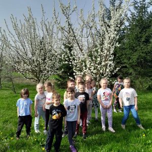 Uczniowie oddziału przedszkolnego stoją na trawie. Za nimi widoczne są drzewa z białymi kwiatami.